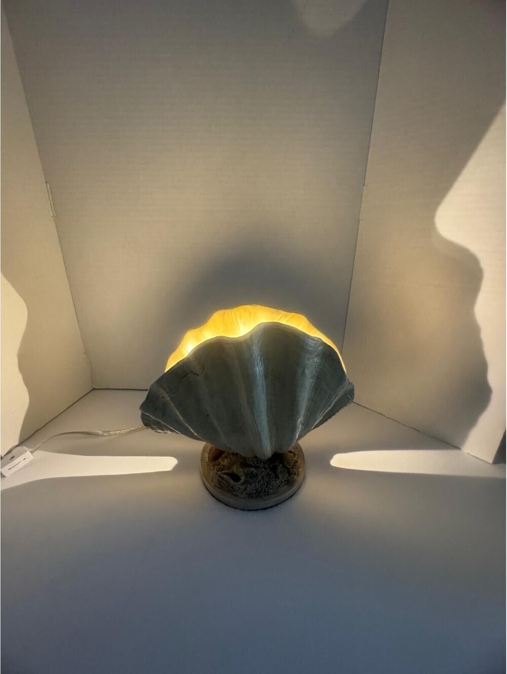 Dongguan Everred Lighting Clamshell Accent Lamp – Nautical Coastal Nightlight